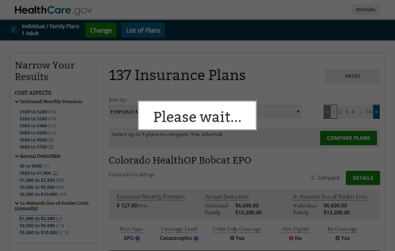Bitte warten-Anzeige von healthcare.gov