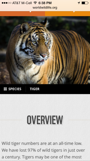 Informationdarstellung mobile Seite des WWF